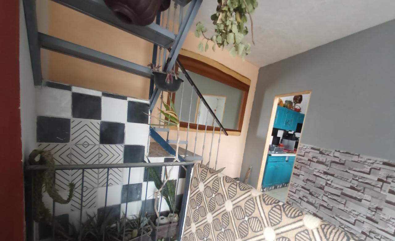 Bugambilias Departamentos Lukasa Home グアダラハラ エクステリア 写真
